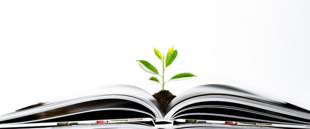 Things Property Managers Wish Homeowners Knew