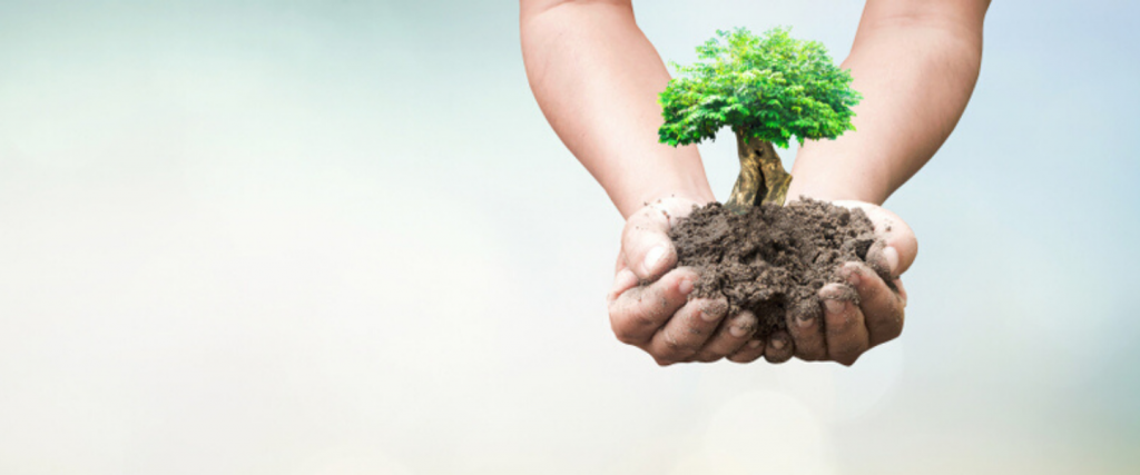 Going Green in an HOA Community